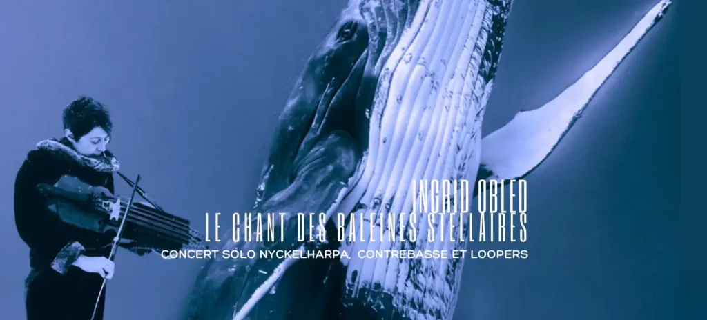 Photo extrait Ciné Concert Le chant des baleines stellaires