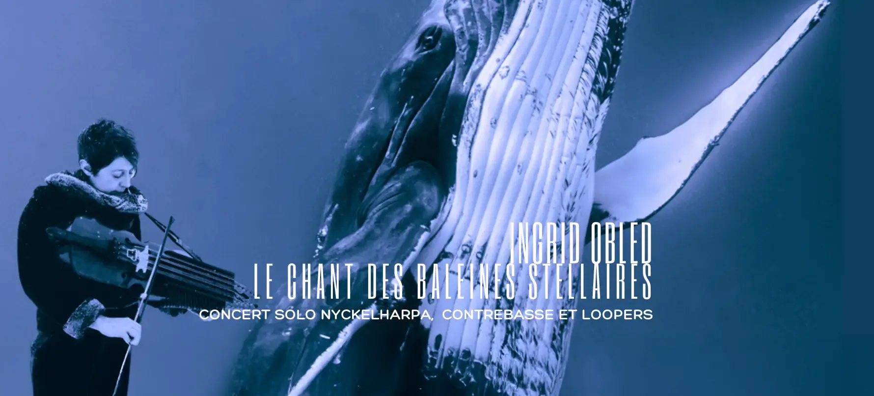 Photo extrait Ciné Concert Le chant des baleines stellaires