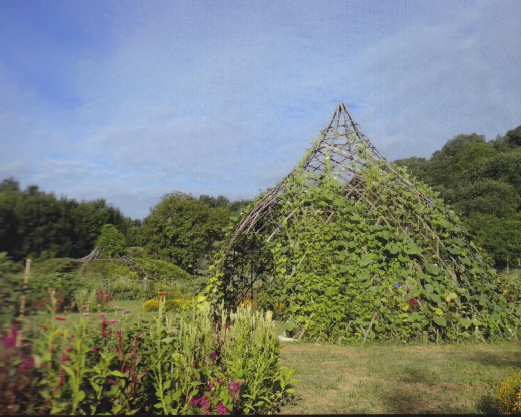 Photo extraite activité Jardin éphemères