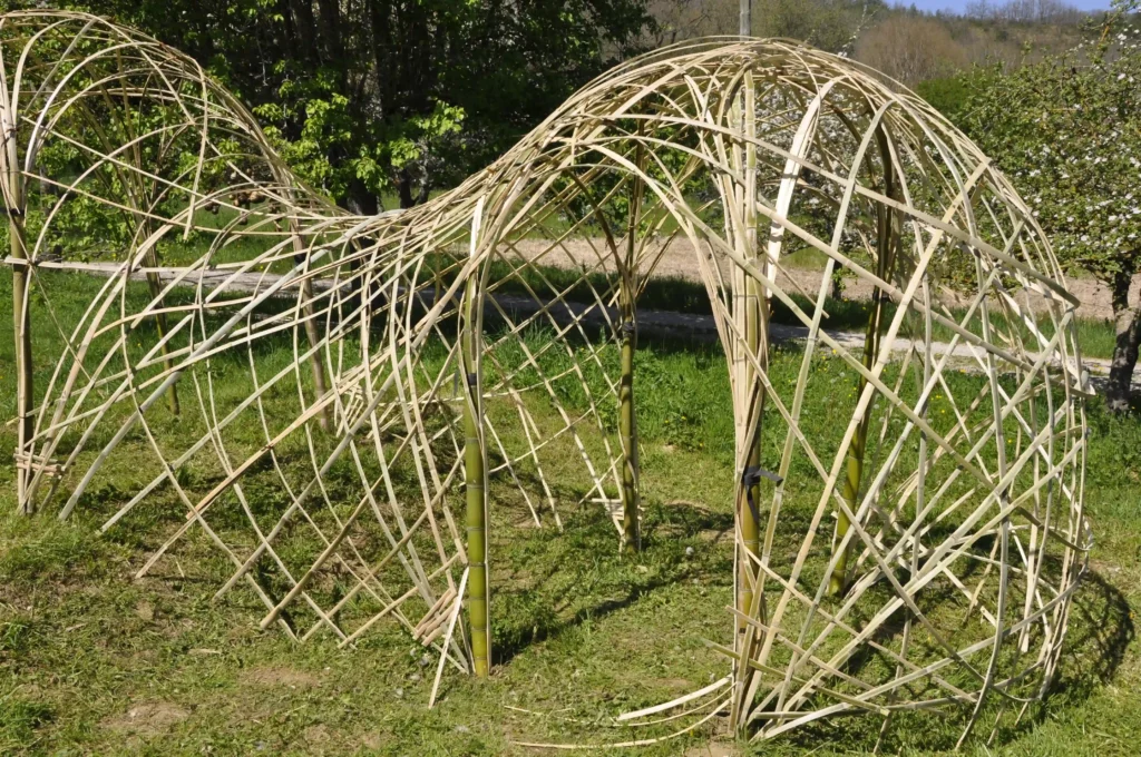 Photo extraite activité Jardin éphemères