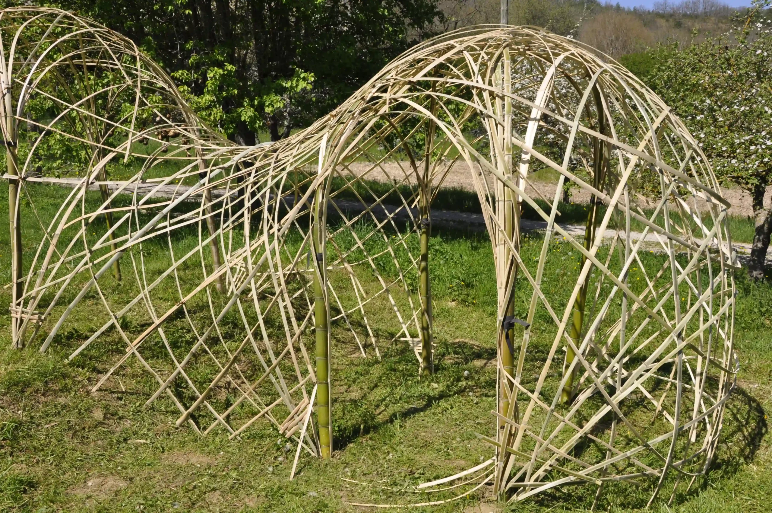 Photo extraite activité Jardin éphemères