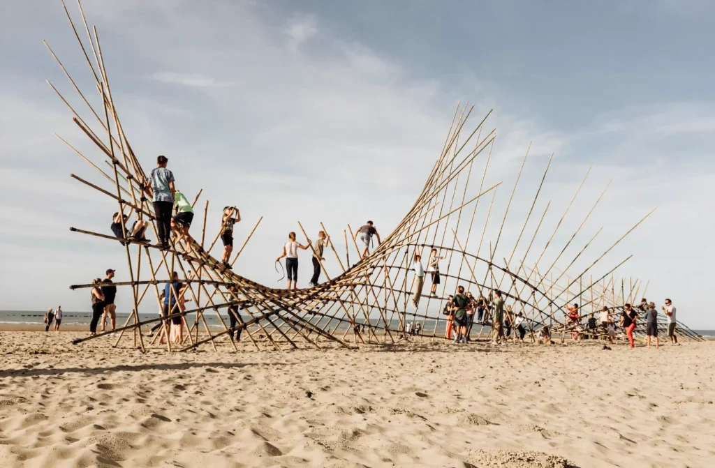 Photo extraite activité Morphosis